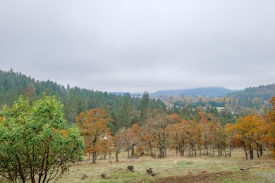 311 Grays Creek Rd, Grants Pass, OR 97527 - photo 3