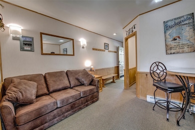 Living room with light carpet, ornamental molding, baseboard heating, and wooden walls