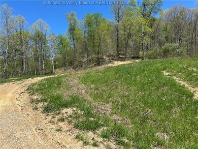 Lot #1 Sugartree Rd, Alkol, WV 25521 - photo 4