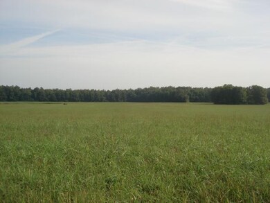 0 Ballard Rd, Manchester, TN 37355 - photo 2