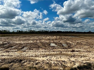 0 Bigwoods Vinton Rd unit SWL22002394, Vinton, LA 70668 - photo 4