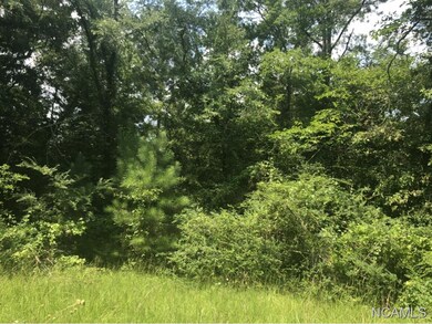 8346 Cedar Mountain Rd, Pinson, AL 35126 - photo 6