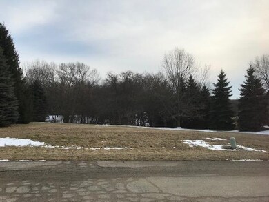 0 W Wilmens Trail, La Porte, IN 46350 - photo 2