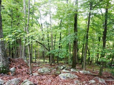 323 Canoe Brook Dr, Hawley, PA 18428 - photo 5