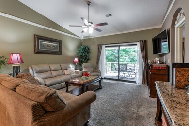350 S Wildwood Dr unit 13, Branson, MO 65616 - photo 3