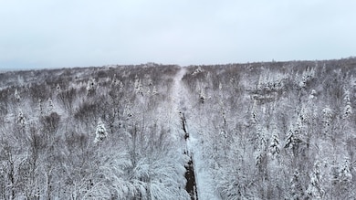 0 Walkerville Rd, Brandon, NY 12966 - photo 2