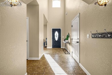 4373 Desert Canyon Trail, Colorado Springs, CO 80922 - photo 4