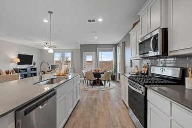 2341 Briscoe Ranch Dr, Hudson Oaks, TX 76087 - photo 6