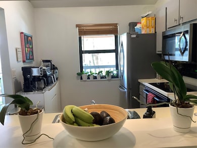 22040 Palms Way unit 2040, Boca Raton, FL 33433 - photo 7