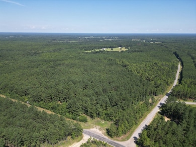 Nhn Gobbler Head Rd, Poplarville, MS 39470 - photo 3