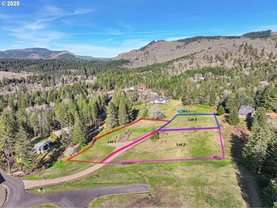 2 Graham Ln, Whitesalmon, WA 98672 - photo 4