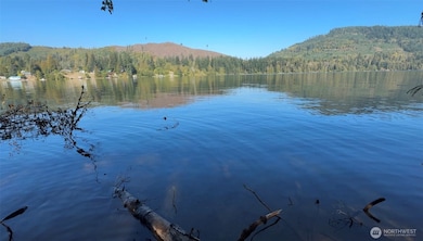 Welcome to your own lakefront property. Mineral Lake.