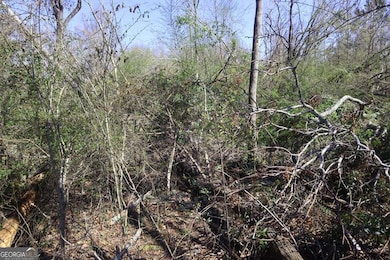 Lt.1 Harrison-Davisboro Rd unit 1, Davisboro, GA 31018 - photo 4