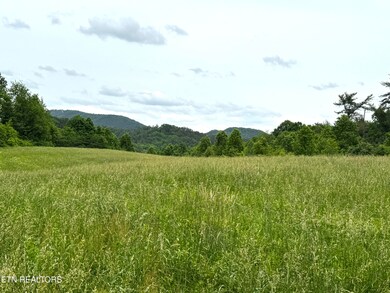 0 Licklog Hollow Rd, Sevierville, TN 37876 - photo 3