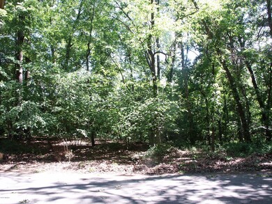 402 Dreamwold Way, Michiana Shores, IN 46360 - photo 2