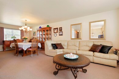 Living Room-Dining Room Combo