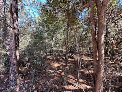 Parcel A Bear Head Rd, Crestview, FL 32539 - photo 4