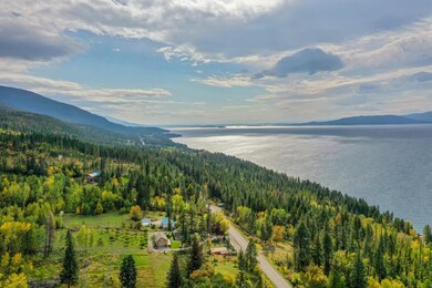 Aerial of acreage and proximity to Lake