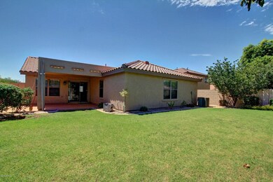 3 grassy backyard