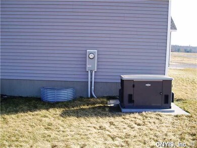 Other. With this generator you will never worry ab