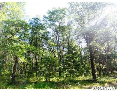 0 Mail Rd unit 893651, Webster, WI 54893 - photo 5