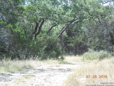 6145 County Road 251, Hondo, TX 78861 - photo 3