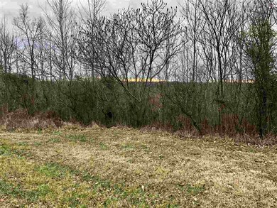 Lots 6, 7, 8 Bear Ridge unit Kodiak Drive, Milton, WV 25541 - photo 2