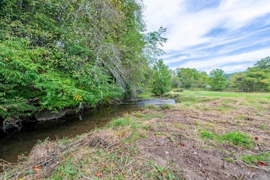 128 Mill Pond Rd SW, Floyd, VA 24091 - photo 3