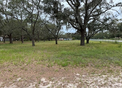 0 Fringe Tree Dr unit 796176, Spring Hill, FL 34610 - photo 2