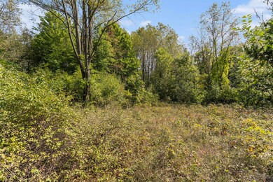 007_yawger_rd_bedford_charter_township_m