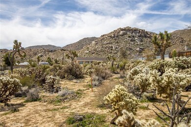 61100 Sandalwood Trail, Joshua Tree, CA 92252 - photo 5