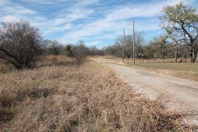 Lot 21 Cheyenne Dr, Bridgeport, TX 76426 - photo 7