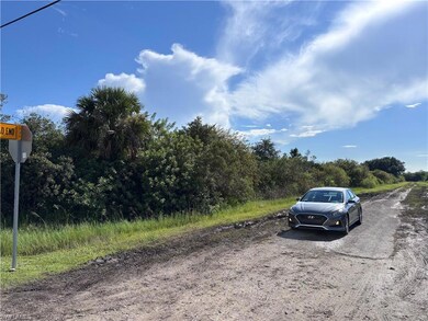 0 29th Ave NE unit 225067735, Naples, FL 34120 - photo 3