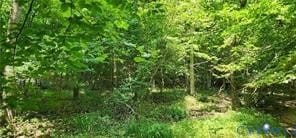 1380 Jasmine Rd, Goochland, VA 23063 - photo 2