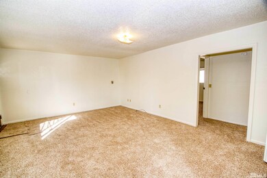 4300 Reno Hwy unit 1, Fallon, NV 89406 - photo 6