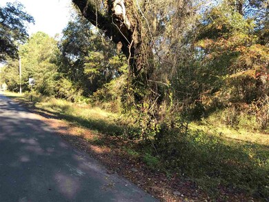 xx 3 Sisters Rd, Crawfordville, FL 32327 - photo 5