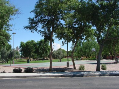 BASKETBALL COURT