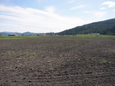 000 Schmidlekofer Rd, Chewelah, WA 99109 - photo 3