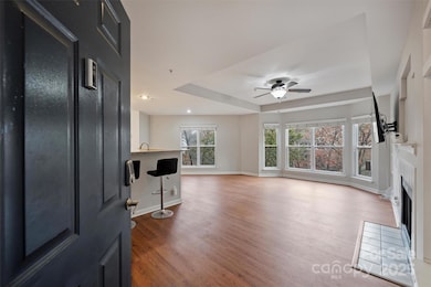 509 N Graham St unit 3F, Charlotte, NC 28202 - photo 3