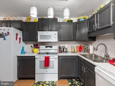 45 Hailey Ln unit A4, Strasburg, VA 22657 - photo 6