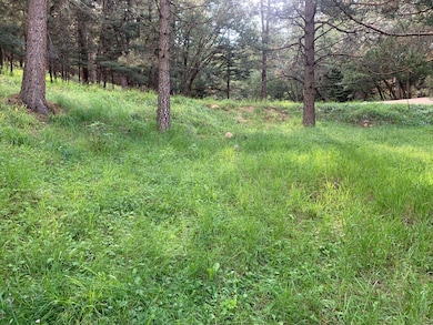 55 Ponderosa Pines Trail, Cloudcroft, NM 88317 - photo 5