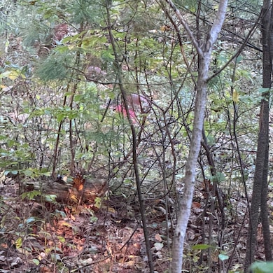 24-4,25-10 Chapman Ln, Kennebunk, ME 04043 - photo 3