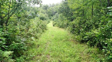 0 Hwy A unit 905098, Webster, WI 54893 - photo 5