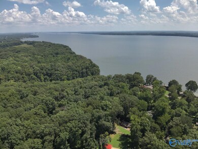 49.59 +/- Acres Snake Rd, Athens, AL 35611 - photo 7