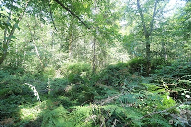 28686 141st Ave SW, Vashon, WA 98070 - photo 7