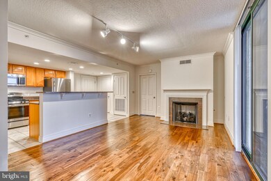 414 Water St, Baltimore, MD 21202 - photo 5