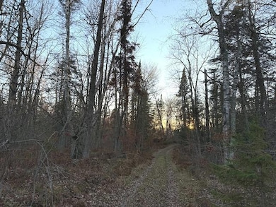 24965 Hammock Trail, Park Rapids, MN 56470 - photo 5