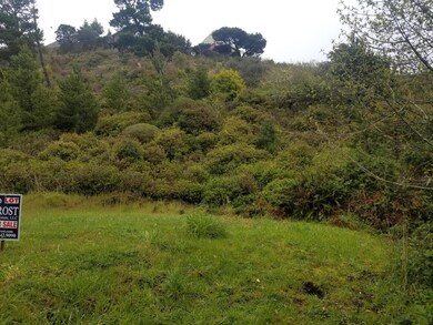 Lot extends up hill