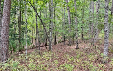 Additional View