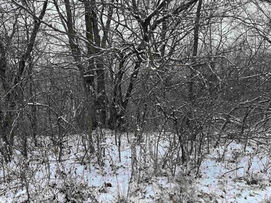 31702 127th St, Floris, IA 52560 - photo 7